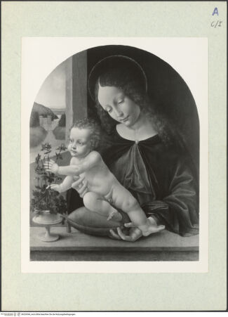 Vorderseite von bh324546_recto