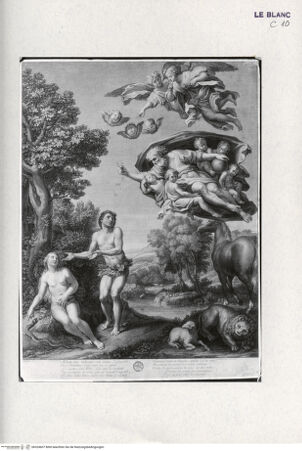 Vorderseite von Landesbildstelle Rheinland [http://creativecommons.org/publicdomain/mark/1.0/] Adam und Eva - , bh324607. Foto.