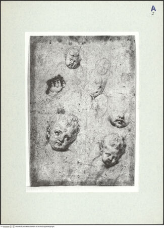 Vorderseite von bh324628_recto