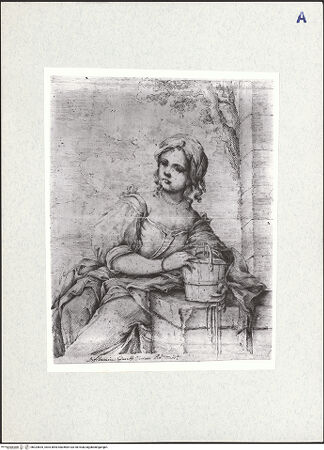 Vorderseite von bh324635_recto