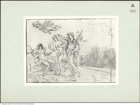 Vorderseite von bh324637_recto