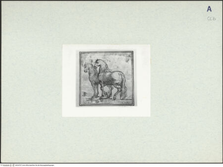 Vorderseite von bh324707_recto