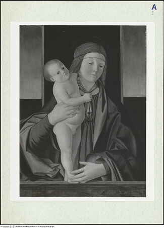 Vorderseite von bh324836_recto