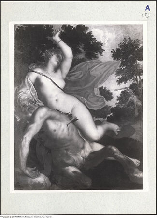 Vorderseite von bh324858_recto