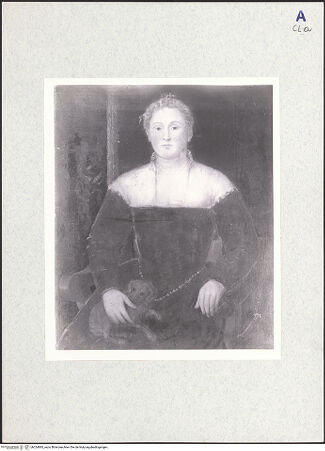 Vorderseite von bh324893_recto