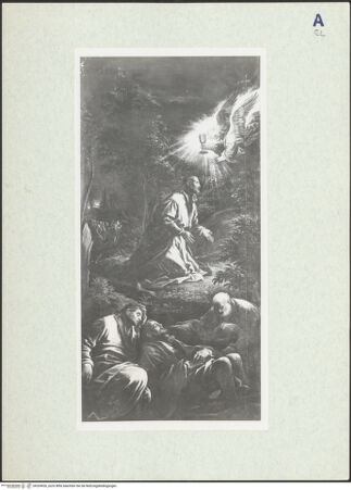 Vorderseite von bh324926_recto