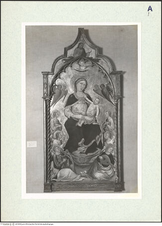 Vorderseite von bh324942_recto