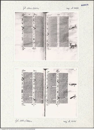 Vorderseite von bh324988_bh324989_recto