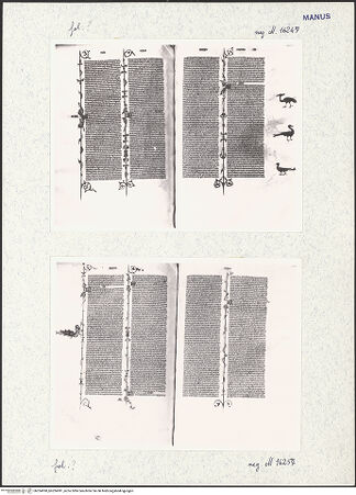 Vorderseite von bh324990_bh324991_recto