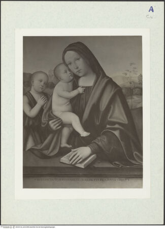 Vorderseite von bh325126_recto