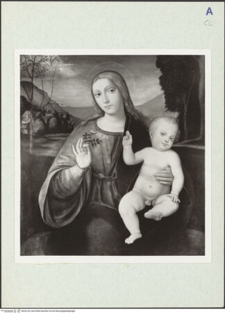 Vorderseite von bh325128_recto