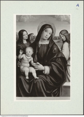 Vorderseite von bh325130_recto