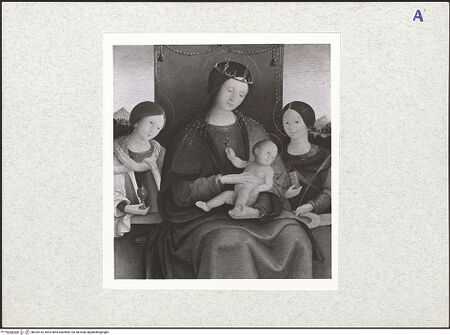 Vorderseite von bh325142_recto