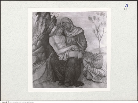 Vorderseite von bh325153_recto