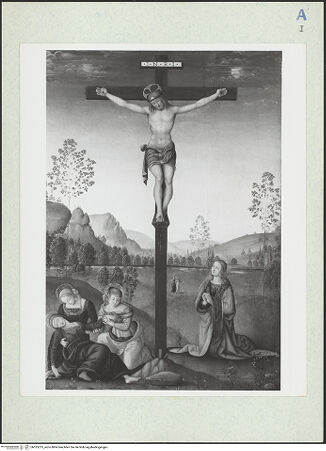 Vorderseite von bh325213_recto