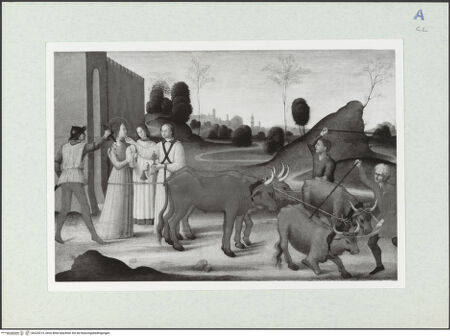 Vorderseite von bh325215_recto