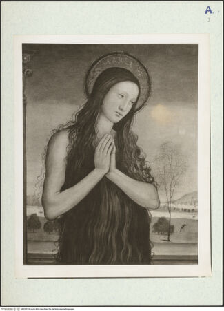 Vorderseite von bh325219_recto