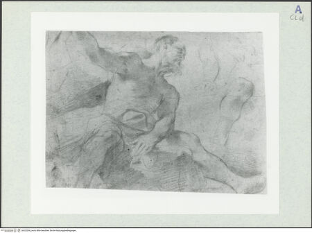 Vorderseite von bh325246_recto