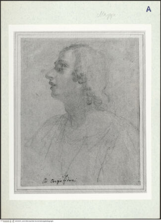 Vorderseite von bh325251_recto