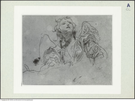 Vorderseite von bh325262_recto