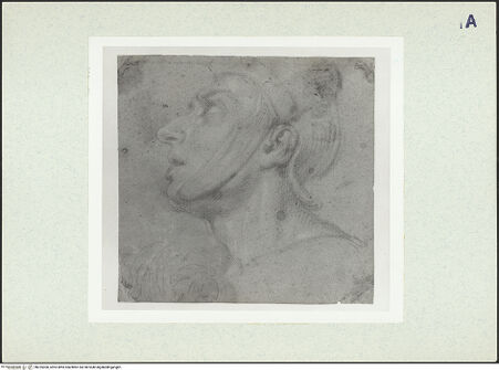 Vorderseite von bh325300_recto