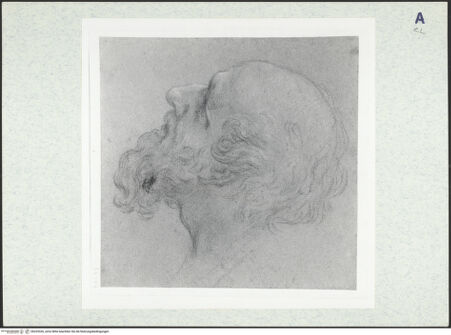 Vorderseite von bh325326_recto