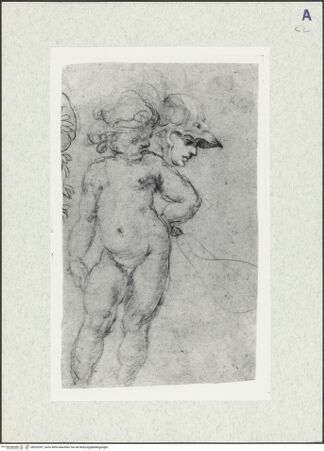 Vorderseite von bh325331_recto