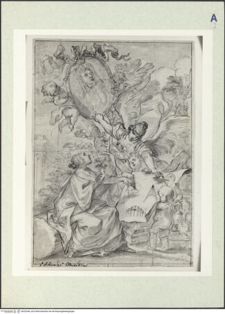 Vorderseite von bh325346_recto