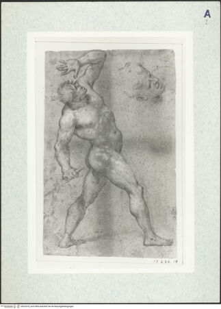 Vorderseite von bh325370_recto