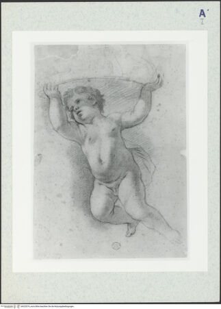 Vorderseite von bh325374_recto