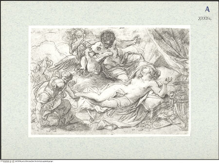 Vorderseite von bh325546_recto