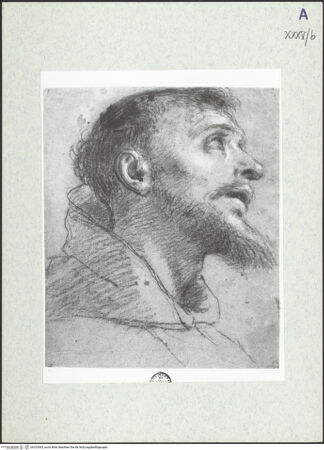 Vorderseite von bh325563_recto