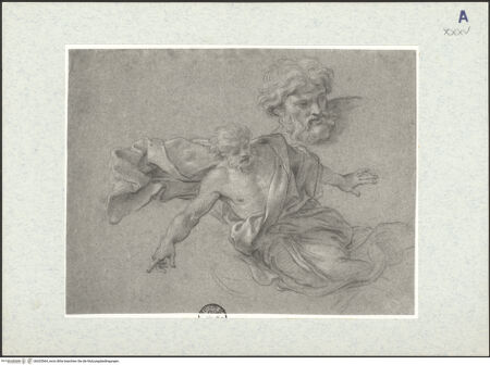 Vorderseite von bh325564_recto