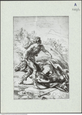 Vorderseite von bh325574_recto