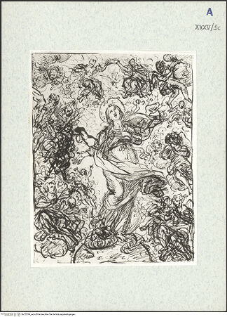 Vorderseite von bh325594_recto