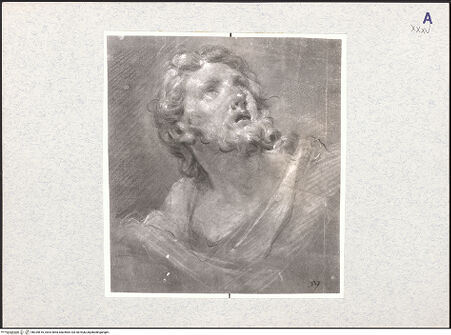 Vorderseite von bh325610_recto