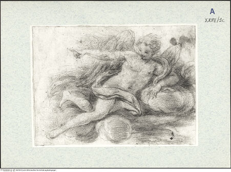 Vorderseite von bh325613_recto