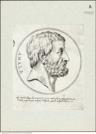 Vorderseite von bh325625_recto