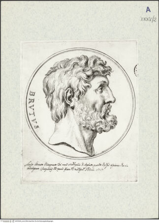 Vorderseite von bh325626_recto