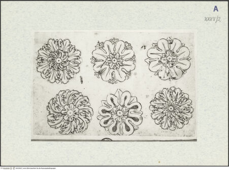 Vorderseite von bh325627_recto