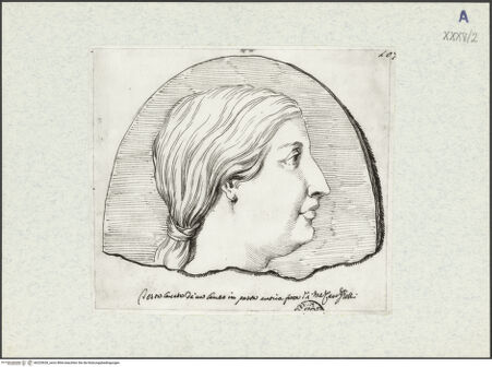 Vorderseite von bh325628_recto