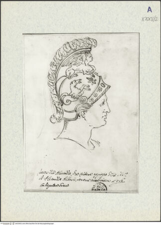 Vorderseite von bh325629_recto