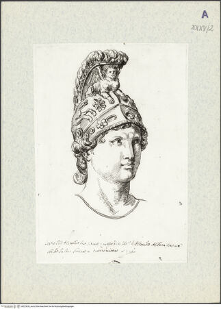 Vorderseite von bh325630_recto