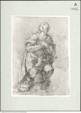 Vorderseite von bh325649_recto