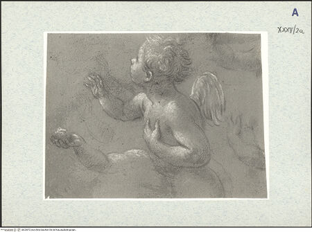 Vorderseite von bh325672_recto