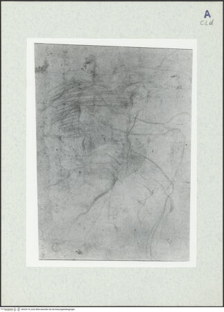 Vorderseite von bh325774_recto