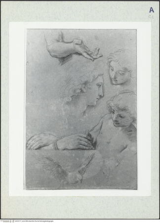 Vorderseite von bh325777_recto