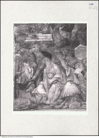 Vorderseite von bh325893_recto