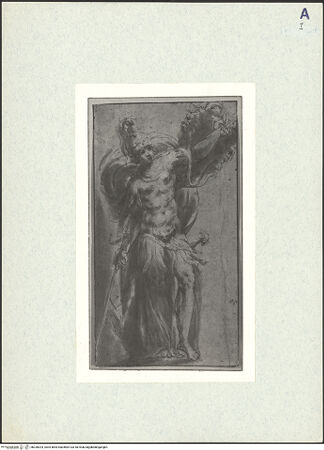 Vorderseite von bh326024_recto