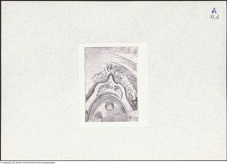 Vorderseite von Ashmolean Museum [https://www.deutsche-digitale-bibliothek.de/content/lizenzen/rv-ez/] Unterer Teil eines Medici(?)-Wappens - , bh326397_recto. Foto.